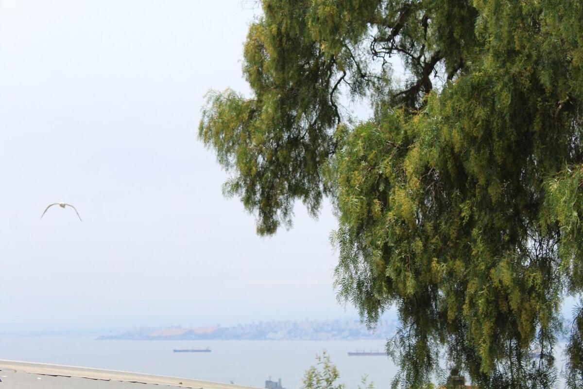 Loft En Valparaiso, 2 Personas *